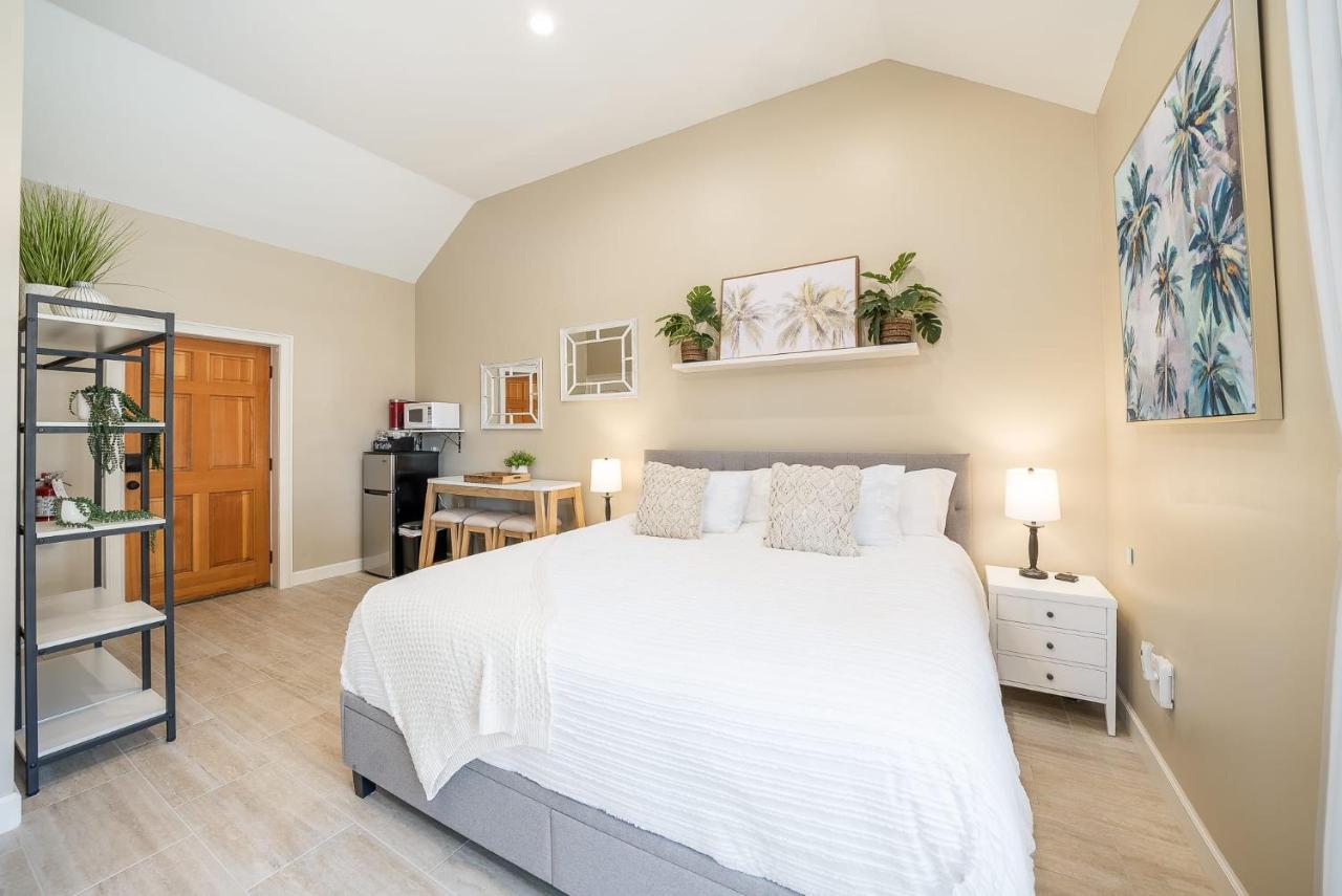 Quaint Studio In The Heart Of Downtown St Augustine 圣奥古斯丁 外观 照片